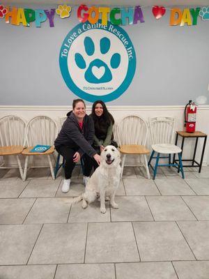 To Love a Canine Rescue