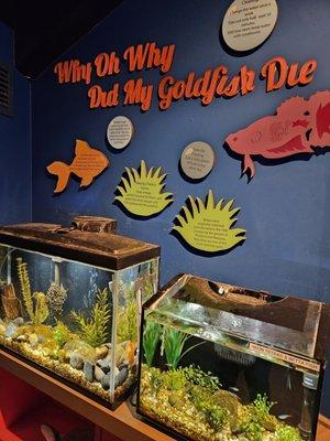 Inside of the aquarium