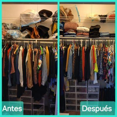 Total Harmony Services