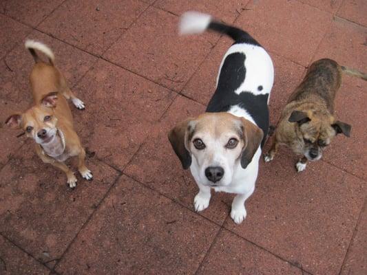 East Shore's Veterinary Hospital