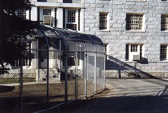 Pine Tree Fence Company