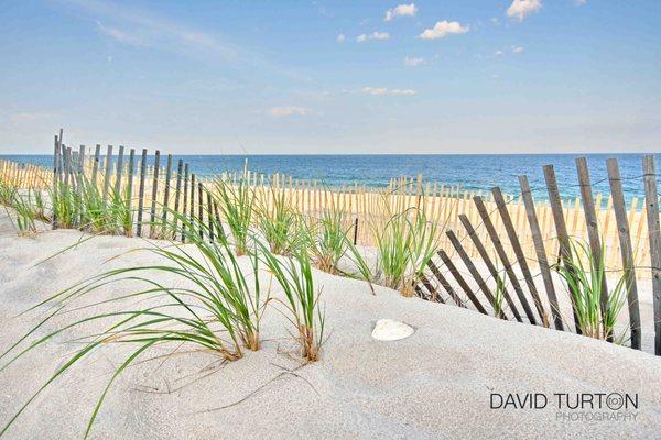 David Turton Photography