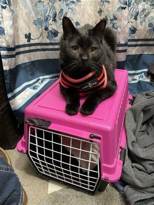 Hufnagel Veterinary Clinic