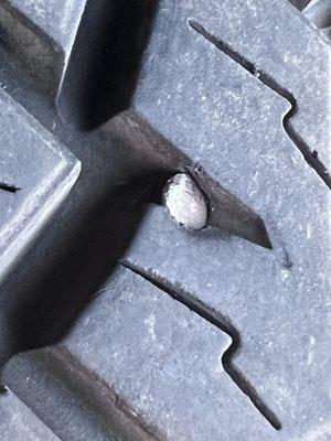 Les Schwab Tire Center