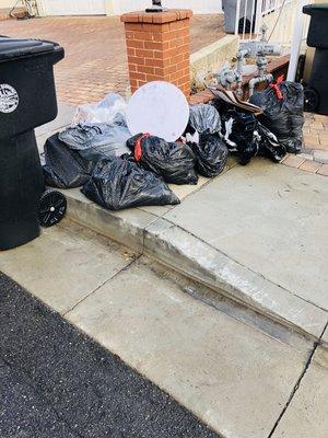 Shine Bright L.A Junk