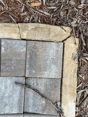Next Level Pavers LLC