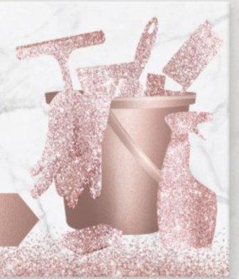 A Touch Of Krishina Cleaning Service