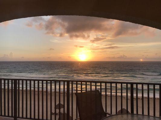 Body and Spirit Wellness Therapy