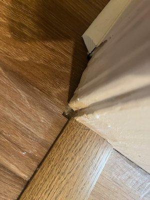 Supreme Creations Building and Remodeling