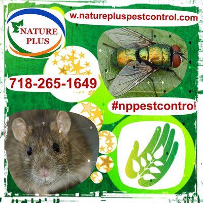 Nature Plus Pest Control