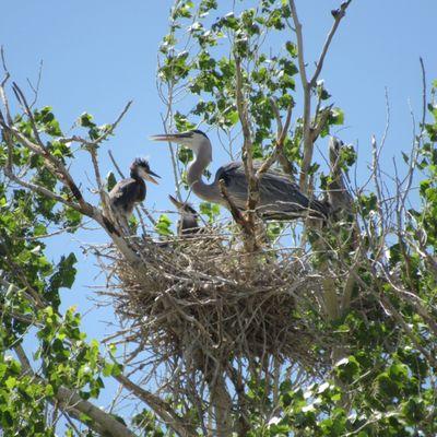 Rockin’ River Ranch State Park