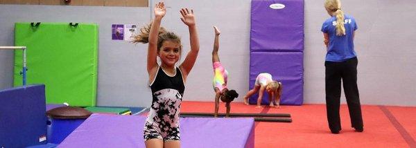 Flipper's Gymnastics