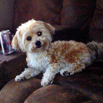 Lavonia Animal Hospital