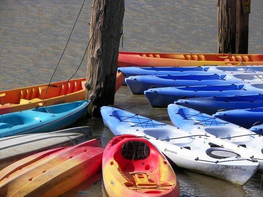 AWI Creations & Productions