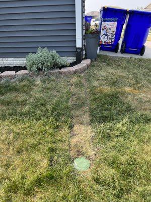 Water Drainage Solution