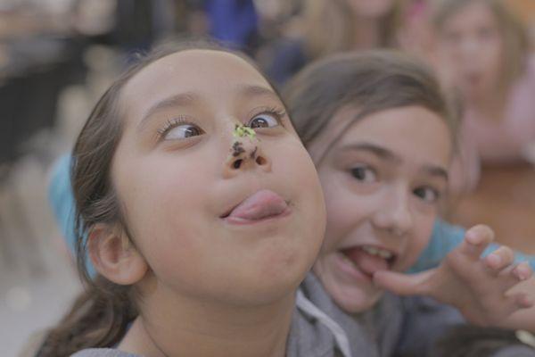 Lifesource International