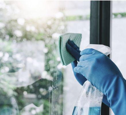 Alexa’s Cleaning And Organizing Services