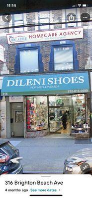 Palazzo Shoes