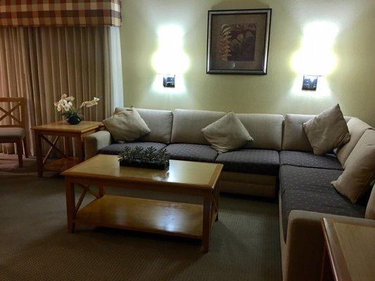 Lining room area. The couch folds out to be a queen size sleeper.