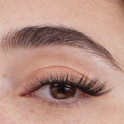The Lash & Wax Boutique - Queen Anne