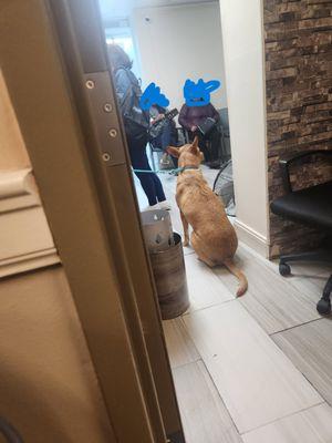 Sherwin Benlevi, DDS - Manhattan's Best Dental Care