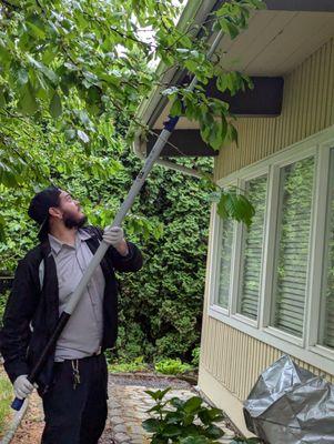 Sparrow's Pest Control