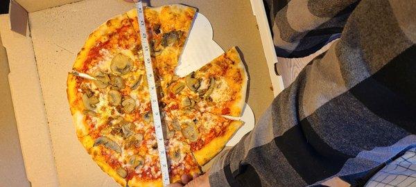 14 inch pizza, for the cost of an 18 inch pizza