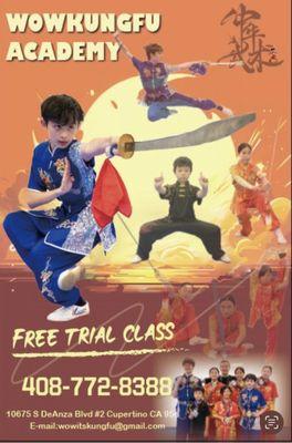 WOW Kungfu Academy
