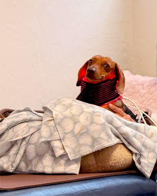 Is that a smile I see?