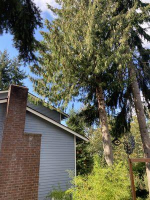 Clean Time Landscaping