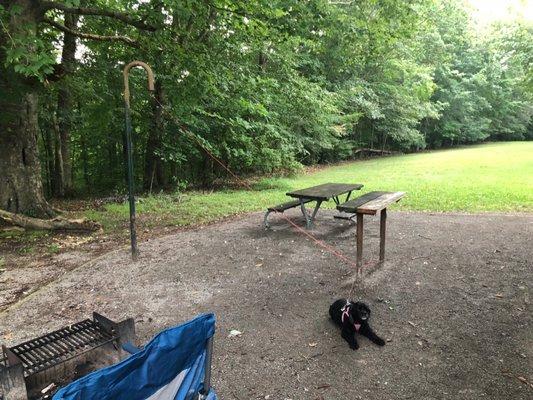 Holmes Bend Campground