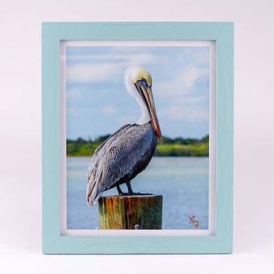 Pelcian Photographic Art Print in Frame