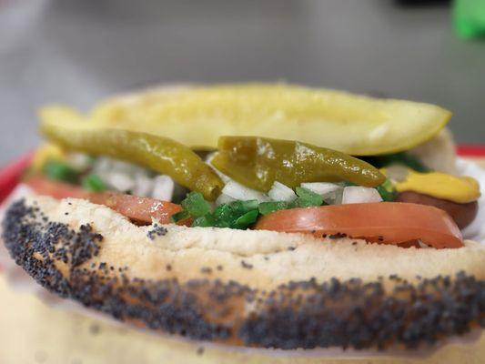 Chicago hot dog