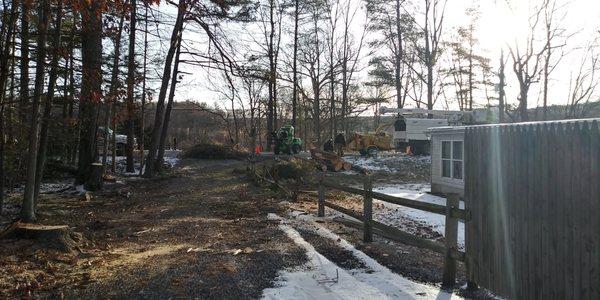 Pennington Tree Expert Service