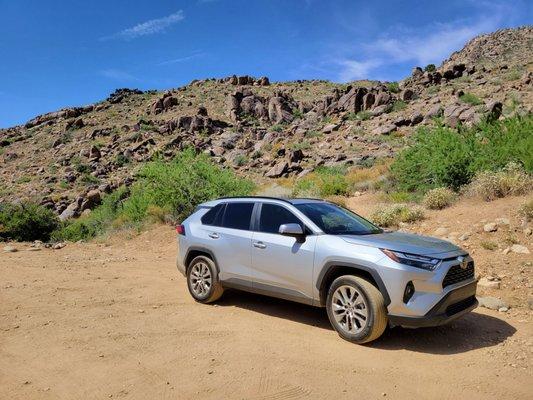 Roy Purcell's Murals