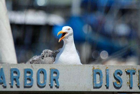 Been chilling here for a long while...