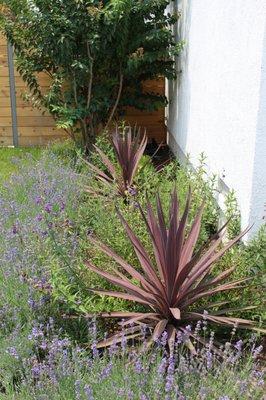 Design by Nature Studio