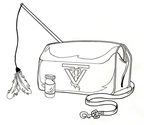 Pet Nurse on the Move