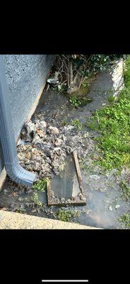 Hollytree Apartments