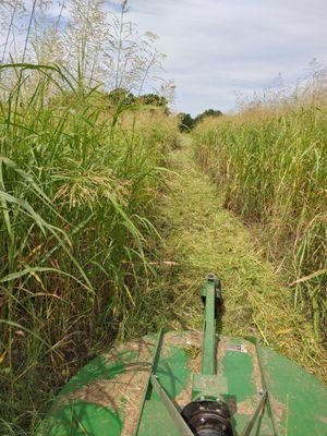 Quality Land Management