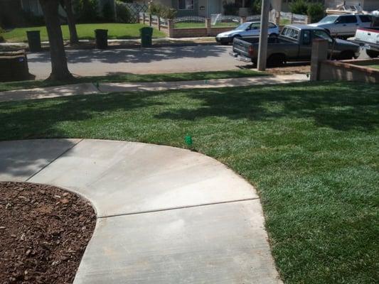 Lawn Service in Riverside, Ca