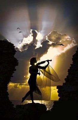 Deborah L Cicconi, PhD