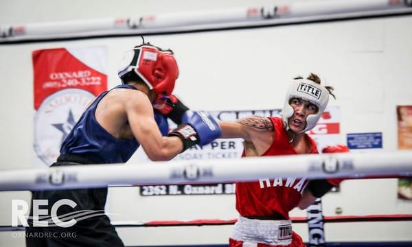 BOXFIT808