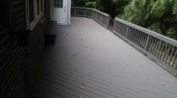 Dwight’s Quality Painting