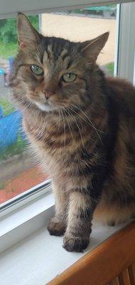 Autumn Care & Crossings