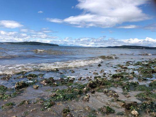 AC landscaping & construction