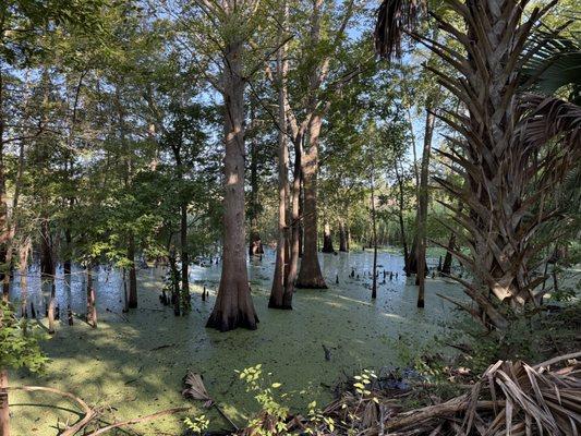 Black Bear Wilderness Area