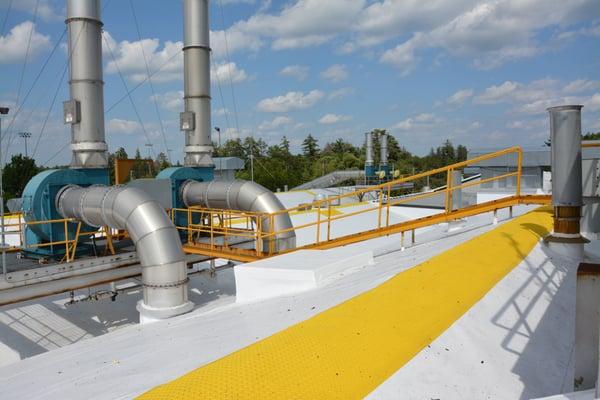 Roofed Right America