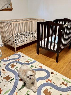 Oh My Baby Family Child Care