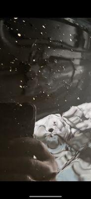 Metal shavings in oil from fresh rebuild